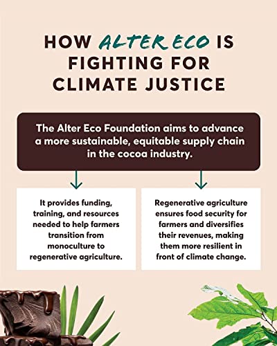 Alter Eco Organic A.E. Dk Chocolate Black out 2.82 Oz (Pack of 12) - image 6